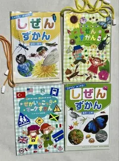 Item thumbnail for item 6f9fd043-625d-441d-8ef3-4722280e1a5a