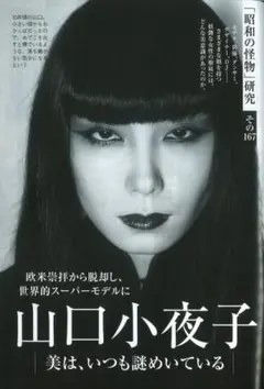 山口小夜子　雑誌　特集 8ページ　インタビュー　資生堂
