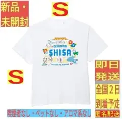 ちいかわシーサー祭り 開襟シャツLサイズ - メルカリ