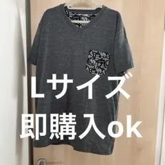 即購入ok メンズ　Lサイズ ペイズリー柄ポケット VネックTシャツ グレー