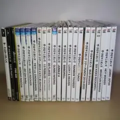 ザ・クロマニヨンズ レコードセット売り 2026年最新】ザクロマニヨンズ レコードの人気アイテム - メルカリ