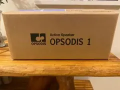 2026年最新】OPSODIS1の人気アイテム - メルカリ