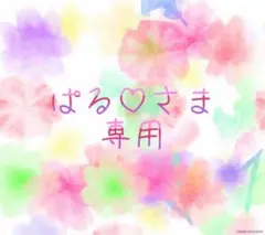 ぱるさま専用♡