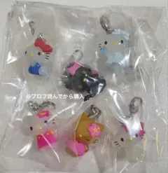 ハローキティ　めじるしアクセサリー　コンプリート　全6種