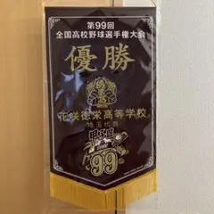 第99回全国高校野球選手権大会 優勝 花咲徳栄高校 ペナント
