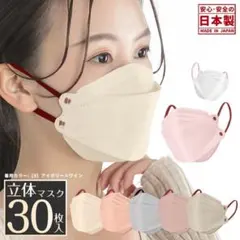 立体マスク 10枚入り 5袋　日本製 アイボリー×ワイン