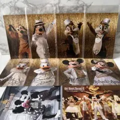 東京ディズニーランド キャラクター 実写 ポストカード ワンマンズドリームⅡ