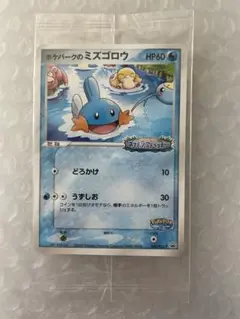 2026年最新】ポケパークのミズゴロウ 未開封の人気アイテム - メルカリ