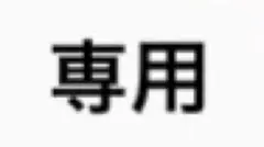 専用出品