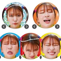 平成フラミンゴ ポケットくじ 缶バッジ NICO全種類