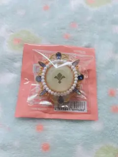 鳴上嵐　スタライ10th リンライ