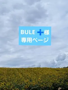 BULE ➕️様専用ページ