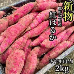 신물 가고시마현산 홍하루카 2㎏ 고구마 번역 213