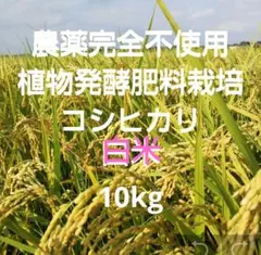 循環型農法こだわりのお米 30kg 長崎県産にこまる玄米 - メルカリ