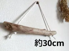 koganenohana0324s様 リクエスト 2点 まとめ商品