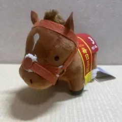 2026年最新】サリオス ぬいぐるみの人気アイテム - メルカリ