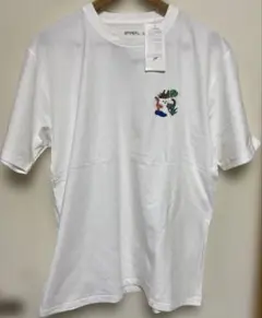 Item thumbnail for item 2c52092e-31d2-4dc0-936f-57e7e3356a55