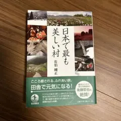 Item thumbnail for item 755bc84f-23da-43da-b998-e260b9cf8791