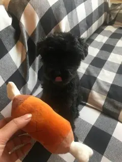 ぷりん様専用 マジックトラベルポーチ