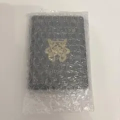 Item thumbnail for item 42c4da53-68d7-4db3-afb2-a698af3533d5