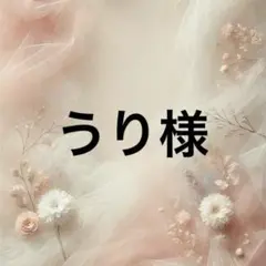 うり様 リクエスト 10点 まとめ商品