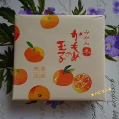 ☆【岩手銘菓】さいとう製菓♥️季節限定♥️みかんかもめの玉子②☆