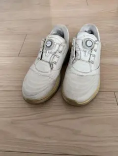 ecco LT1 BOA WOMEN サイズ　36