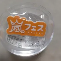 嵐　ARASHI 会場限定 カプセルトイ　ガチャガチャ　嵐フェス