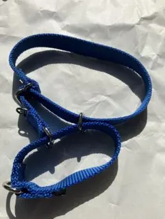 PetSafe（ペットセーフ）犬用首輪 Mサイズ