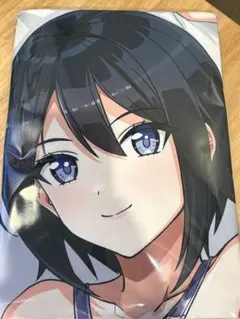 ドルフィンウェーブ 住乃絵紫苑 抱き枕カバー A+ はるきち 一本満足枕 ドルフィンウェーブ 住乃絵紫苑 抱き枕カバー A+ はるきち 一本満足枕