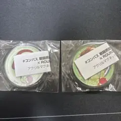 #コンパス×ROUND1 マグネット 2点セット　ニコラ　テスラ