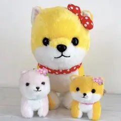 豆しば三兄弟　大集合 2 BIG ぬいぐるみ　さくら　従姉妹　高さ34cmくらい ≪2月の新商品≫アミューズプライズーNEW ITEM！☆豆しば三兄弟