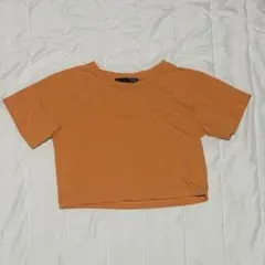 Item thumbnail for item 91e5948e-4420-43d2-a18b-1201e45870d5