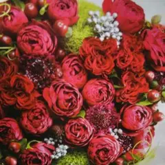 【ゆーこ様専用】