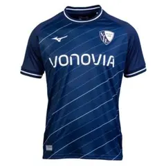 Item thumbnail for item a8238e13-f871-41ce-af55-02e60ae18e02