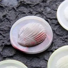 y4【ラスト1点】貝　シーリングスタンプ　スタンプヘッド　封蝋