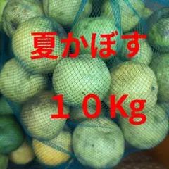 夏かぼす　１０Kgのサムネイル