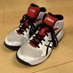 asics バスケットシューズ　24.5㎝