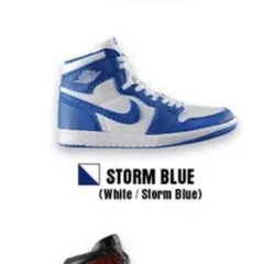 Nike Air Jordan 1 High STORM BLUE カプセルトイ