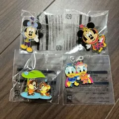 ディズニーシー　ピンバッジ&チャーム