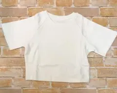 アイボリー クロップド丈 半袖 Tシャツ Mサイズカットソー 無地 丈短め 白系