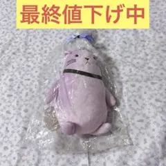 VAZZROCK VAZZCAT ぬいぐるみ（中） Pearl 吉良凰香