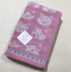 Item thumbnail for item 7558db86-9432-4914-841a-0baeff9e6646