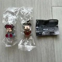 めじるしアクセサリー　松本セイジ　ディズニー　2点セット