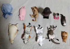 パンダの穴　zoo zoo zoo 今日は何キロ？　マウンテン　タートルズ