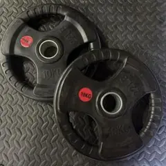 オリンピックラバープレート　10kg ×2枚　ダンベル　ホームジムアイロテック