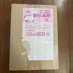 【未開封】ストームエメラルダ シュリンク付きBOX ポケモンセンターオンライン産