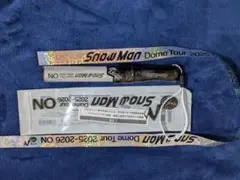 SnowMan 銀テ ペンライト