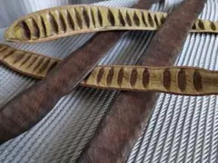 工作素材　鳳凰木　いけばな　ドライフラワー　4本　池坊　草月　小原流