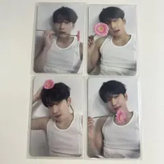 SEVENTEEN ウォヌ 17isrighthere Carat盤 トレカ